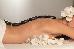 Thumbnail 82