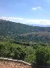 Thumbnail 31