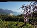 Thumbnail 25