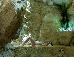 Thumbnail 45