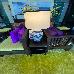 Thumbnail 14