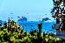 Thumbnail 25