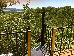 Thumbnail 75
