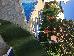 Thumbnail 39