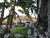 Thumbnail 167