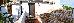 Thumbnail 19