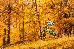 Thumbnail 62