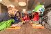 Thumbnail 37