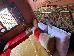 Thumbnail 33