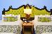 Thumbnail 104