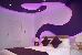 Thumbnail 29