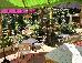 Thumbnail 34