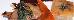 Thumbnail 36