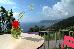 Thumbnail 46