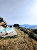 Thumbnail 126
