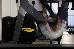 Thumbnail 108