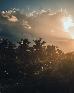 Thumbnail 23