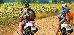 Thumbnail 37
