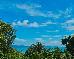 Thumbnail 32