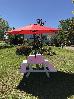 Thumbnail 98