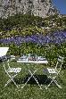 Thumbnail 43