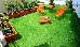 Thumbnail 53
