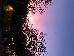 Thumbnail 26