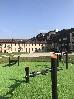 Thumbnail 126