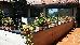 Thumbnail 75