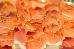 Thumbnail 30