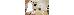 Thumbnail 34