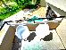 Thumbnail 153
