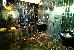 Thumbnail 48