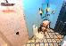 Thumbnail 43