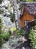 Thumbnail 22