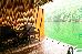 Thumbnail 23