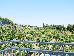 Thumbnail 25