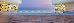 Thumbnail 36