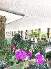 Thumbnail 27