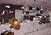 Thumbnail 43
