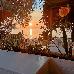 Thumbnail 63