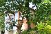 Thumbnail 23
