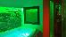 Thumbnail 38