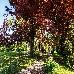 Thumbnail 28
