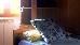 Thumbnail 24