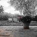 Thumbnail 25
