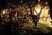 Thumbnail 16