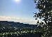 Thumbnail 147