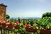 Thumbnail 33