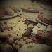 Thumbnail 60